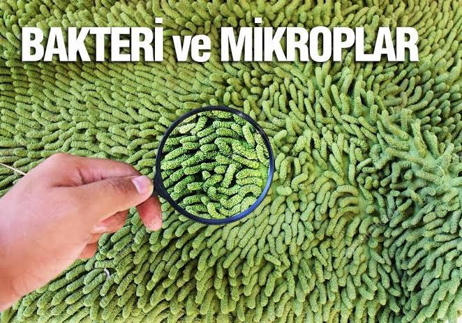 Halı yüzeyinde bakteri ve mikrop vurgusu